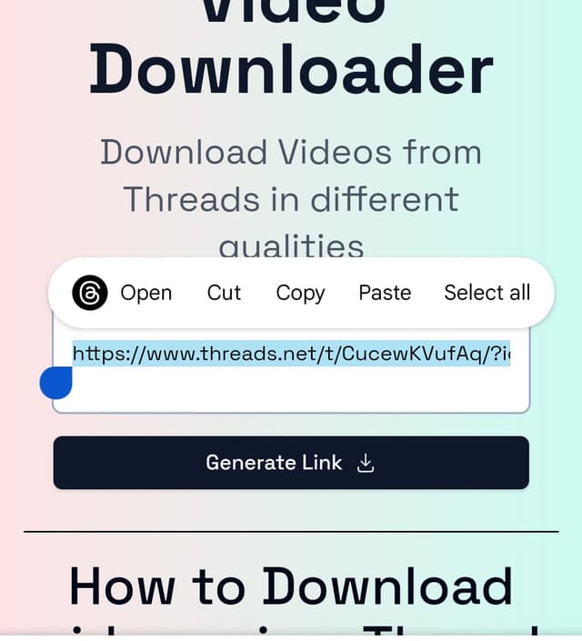 thread video downloader